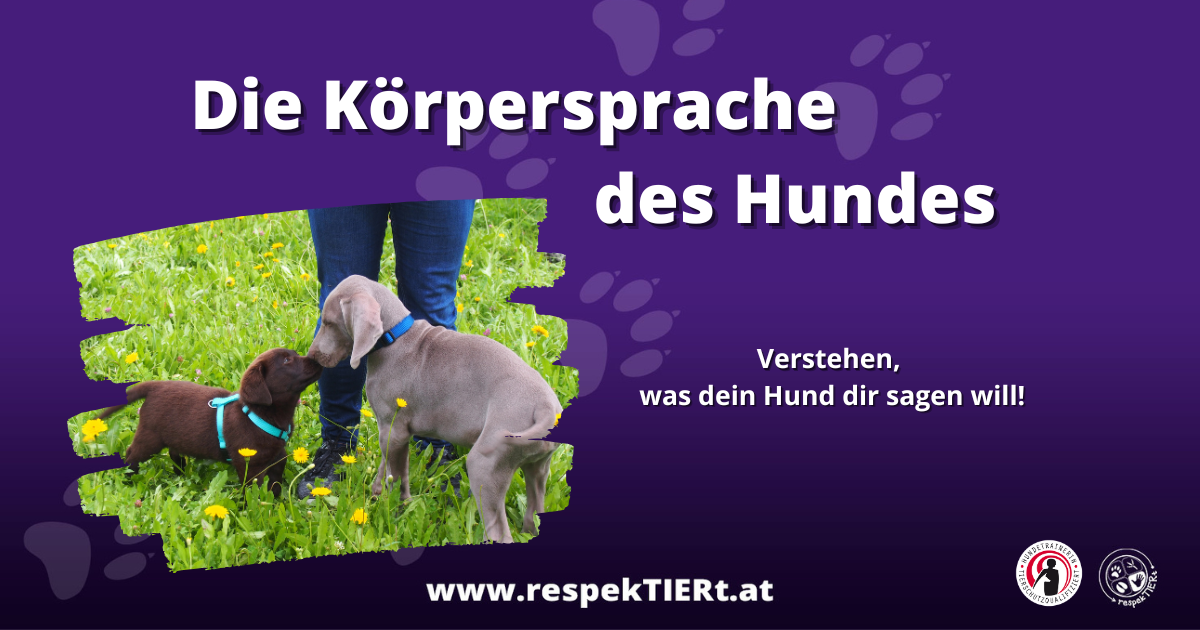 Vortrag: Die Körperspache des Hundes