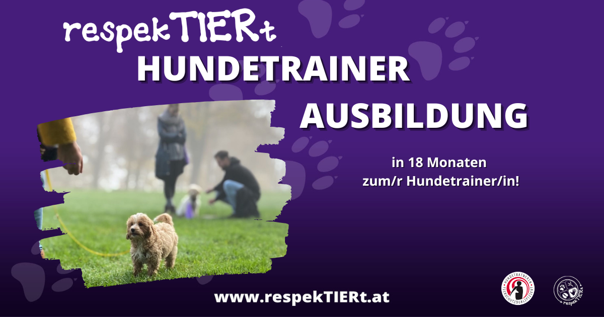 Hundetrainerausbildung