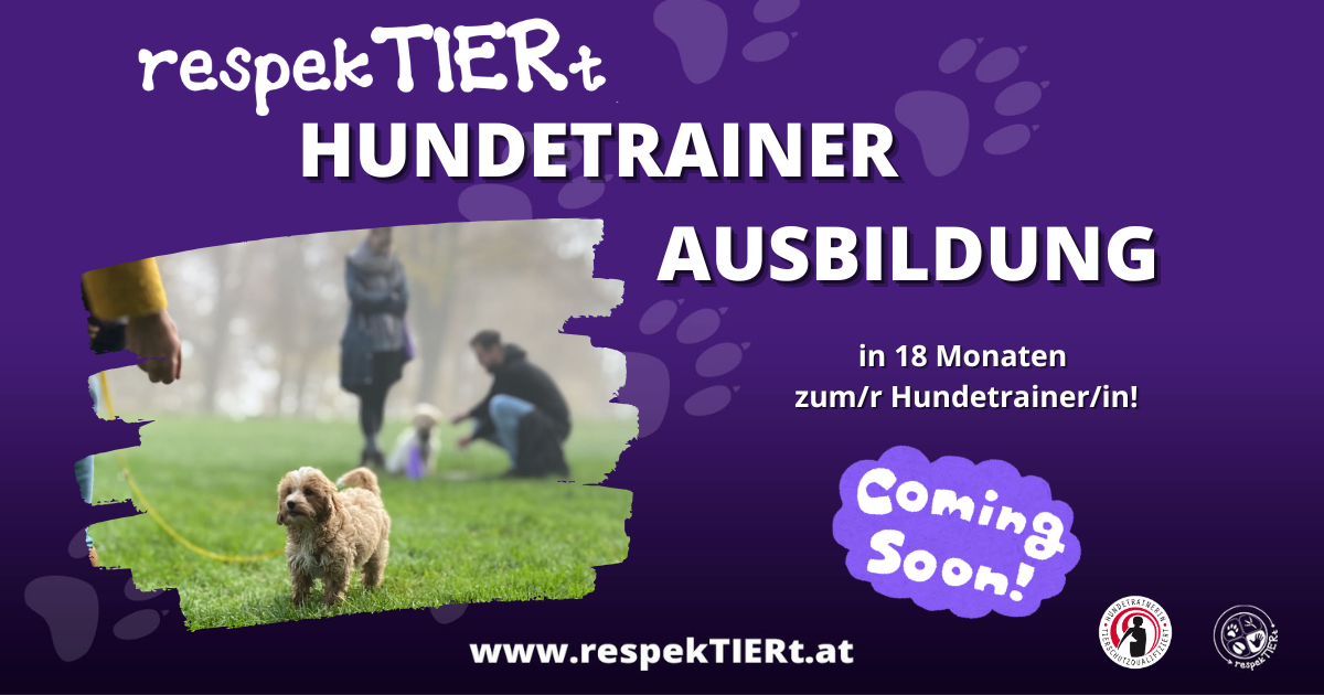 Hundetrainerausbildung